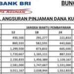 Tabel Angsuran Pinjaman Bri 2024