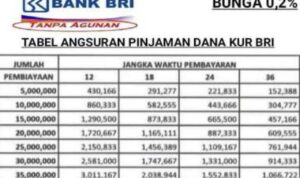 Tabel Angsuran Pinjaman Bri 2024