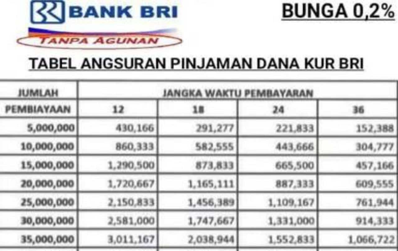 Tabel Angsuran Pinjaman Bri 2024