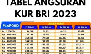 Tabel Kur Bri 2024