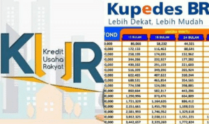 Perbedaan Kur Dan Kupedes 2024