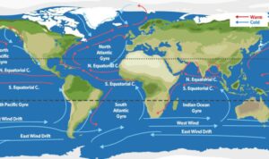 Arus Laut Dan Pengaruhnya Pada Mancing Di Bulan Oktober 2024