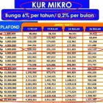 Daftar Angsuran Bri 2024