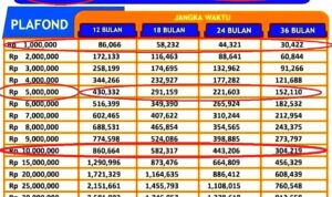 Daftar Angsuran Bri 2024