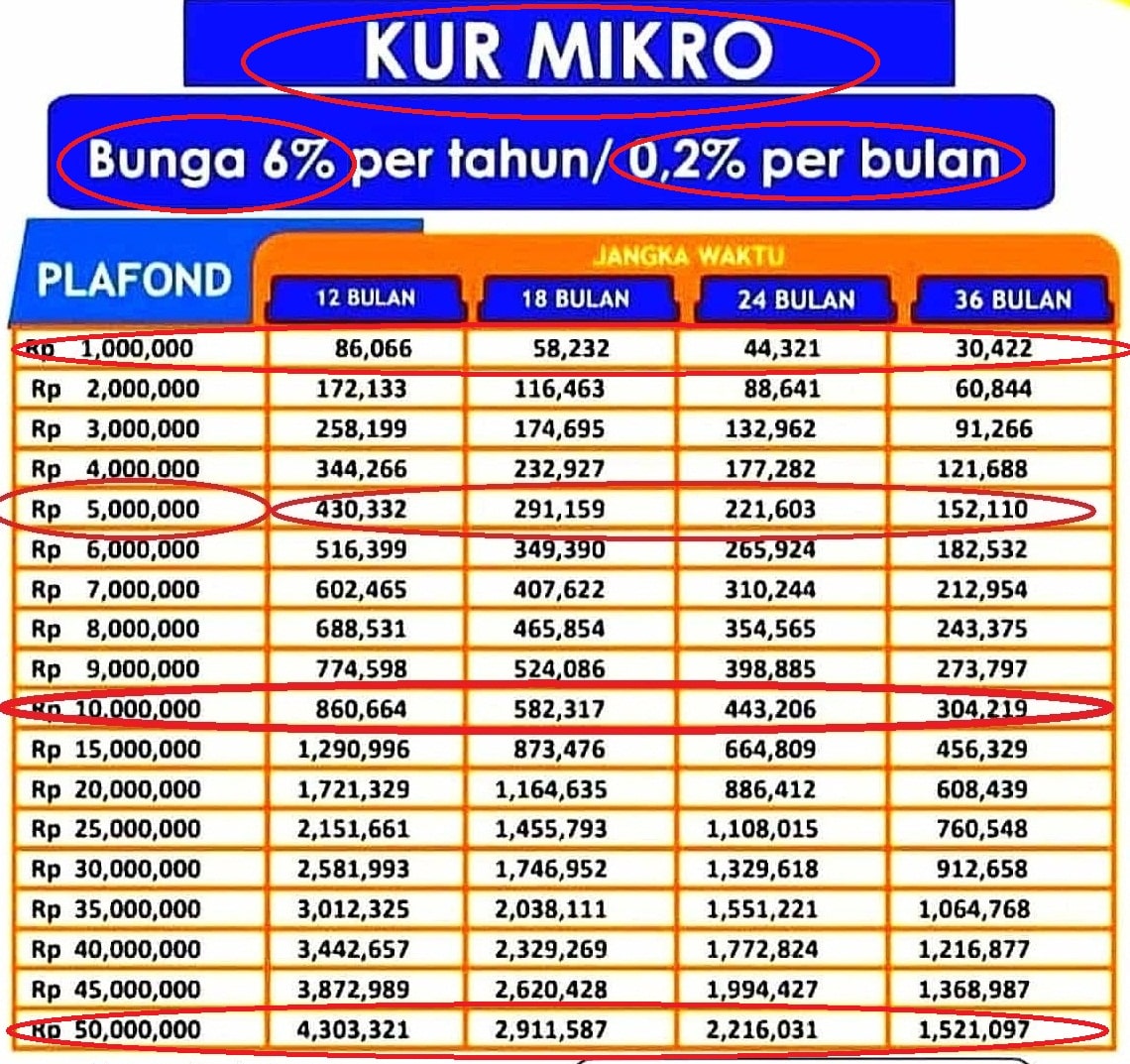 Daftar Angsuran Bri 2024