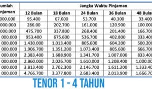 Pinjaman Bank Bri Jaminan Bpkb Mobil 2024