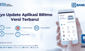 Download Bri Mobile For Nokia 2024