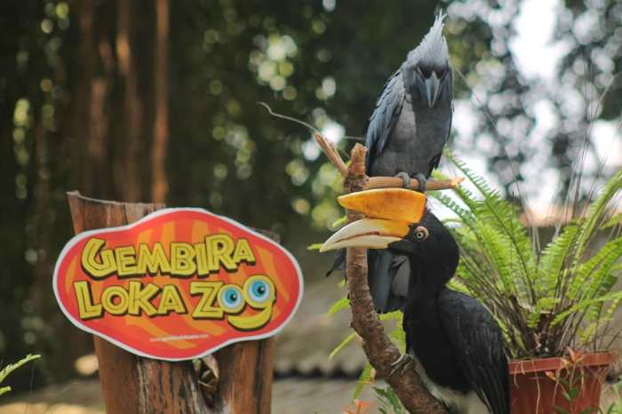 Promo Tiket Masuk Gembira Loka Yogyakarta 2024 Untuk Pelajar Dan Mahasiswa