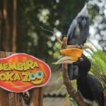 Harga Tiket Masuk Gembira Loka Yogyakarta 2024 Untuk Rombongan