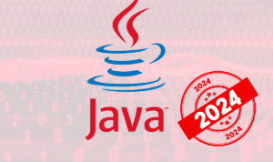 Software Java 2024