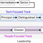 Software Engineer Career Path 2024