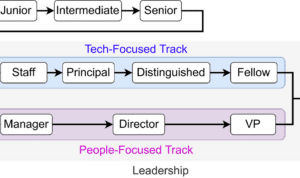 Software Engineer Career Path 2024