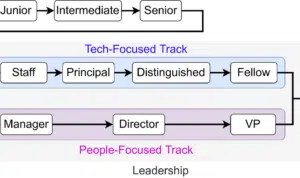 Software Engineer Career Path 2024