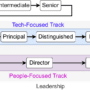 Software Engineer Career Path 2024