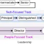 Software Engineer Career Path 2024