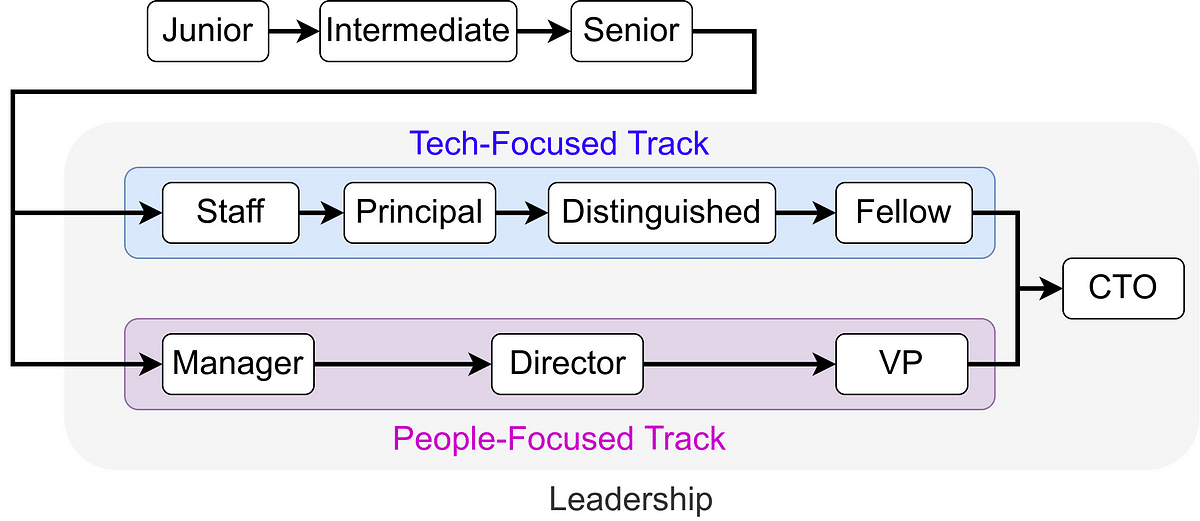 Software Engineer Career Path 2024