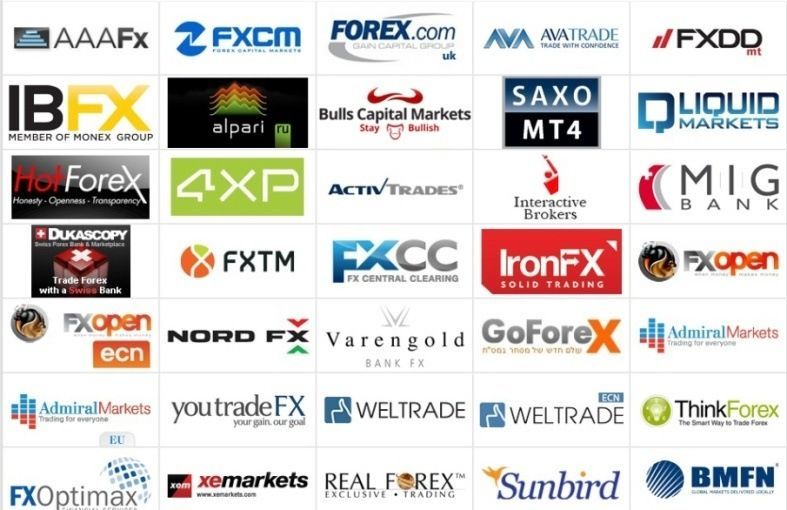 Broker Forex Online Terbaik 2024