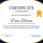 Software Engineer Certification 2024