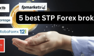 Stp Broker Forex 2024