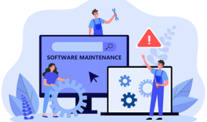 Software Maintenance 2024