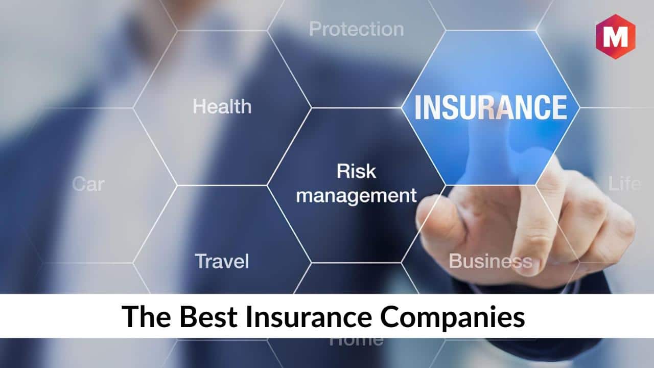 Automotive Insurance Companies List November 2024