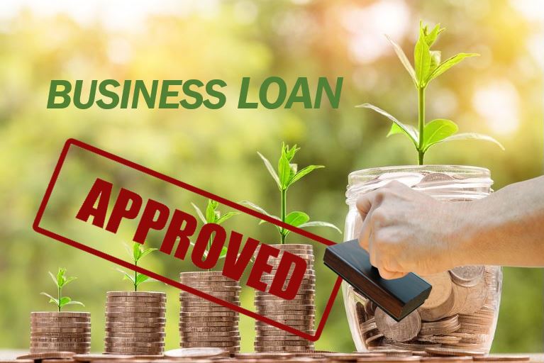 Small Business Loans And 2024