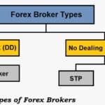 Tipe Broker Forex 2024