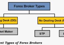 Tipe Broker Forex 2024