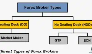 Tipe Broker Forex 2024