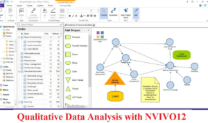 Software Nvivo 2024