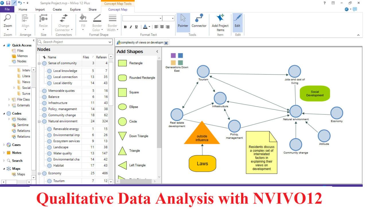 Software Nvivo 2024