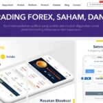 Hsb Broker Forex 2024