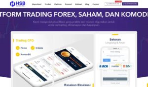 Hsb Broker Forex 2024