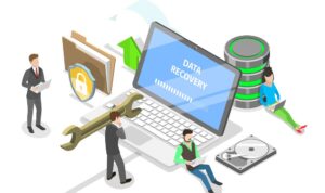 Software Recovery Data 2024