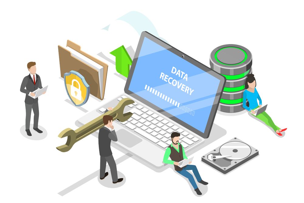 Software Recovery Data 2024