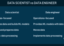 Software Engineer Vs Data Scientist 2024