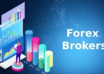 Que Es Un Broker Forex 2024