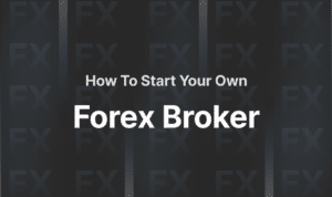 Broker Forex 2024