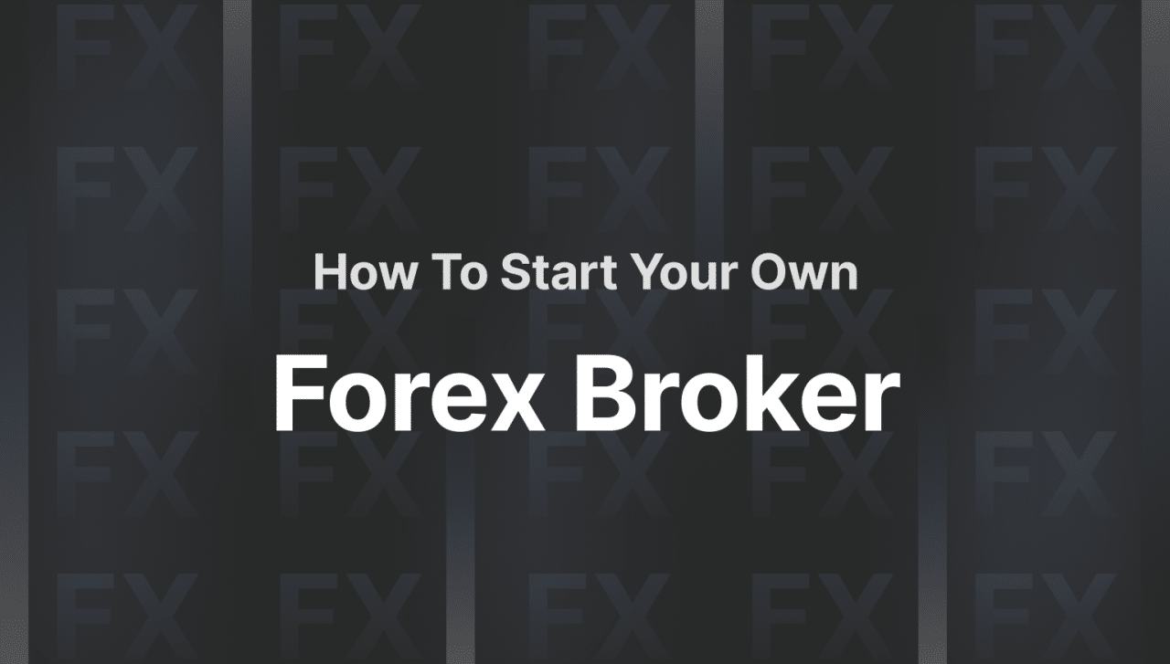 Broker Forex 2024