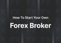 Rekomendasi Broker Forex Untuk Pemula 2024