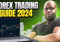 Broker Forex Rebate 2024