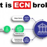 Broker Forex Ecn 2024