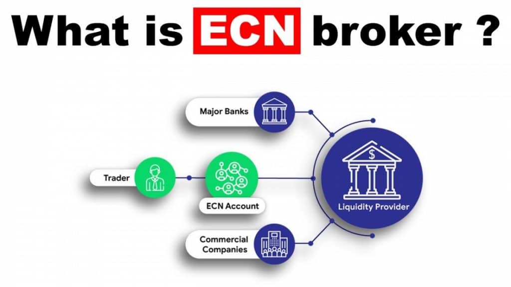 What Is An Ecn Broker Forex 2024