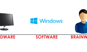 Software Hardware Brainware 2024