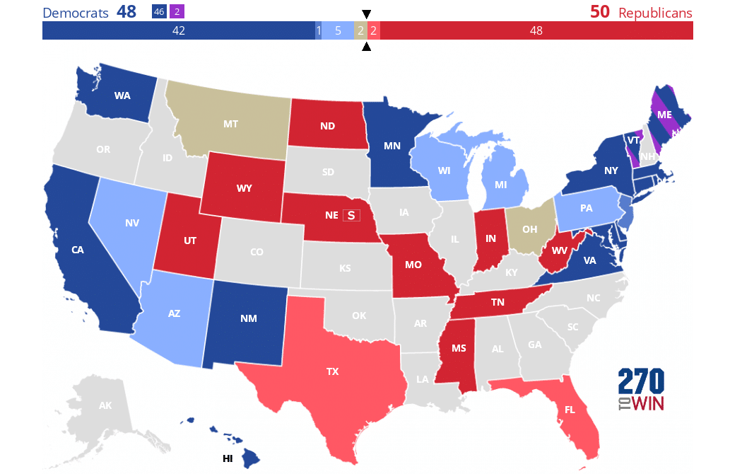 2024 Election Projections