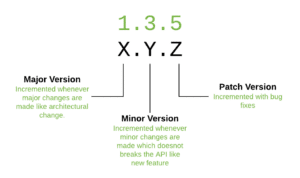 Software Versioning 2024