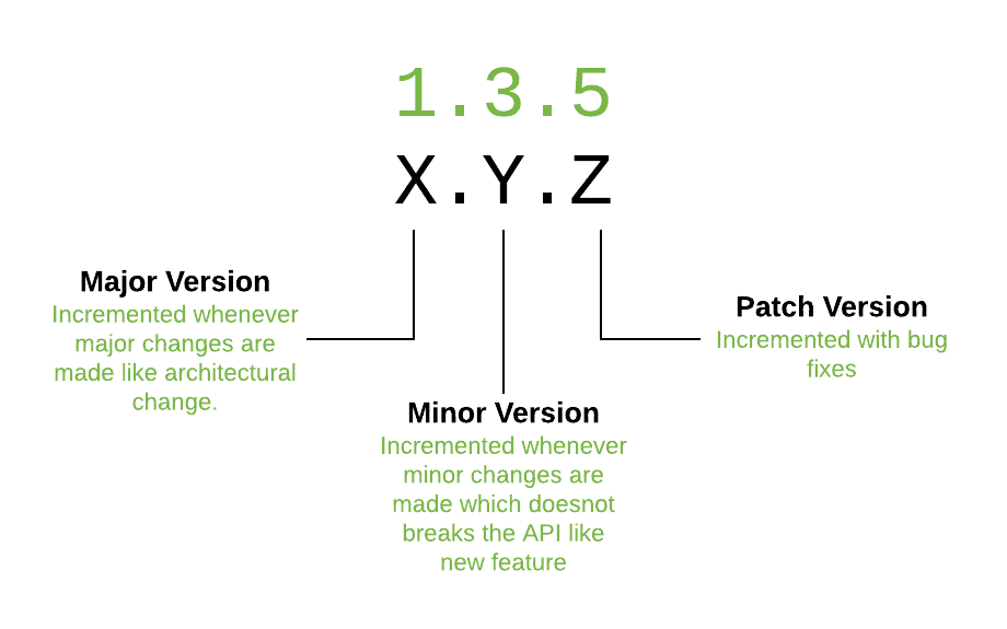 Software Versioning 2024