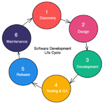 Software Life Cycle Models 2024