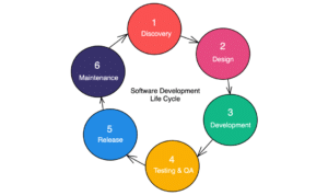 Software Life Cycle Models 2024