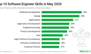 Software Engineer Profile Summary 2024